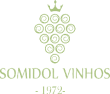 Somidol Vinhos - Pagoli Capsulas